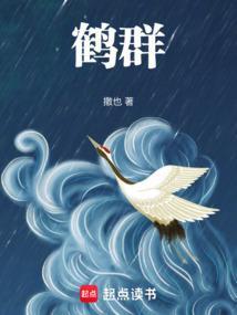 鹤壁市简介概况