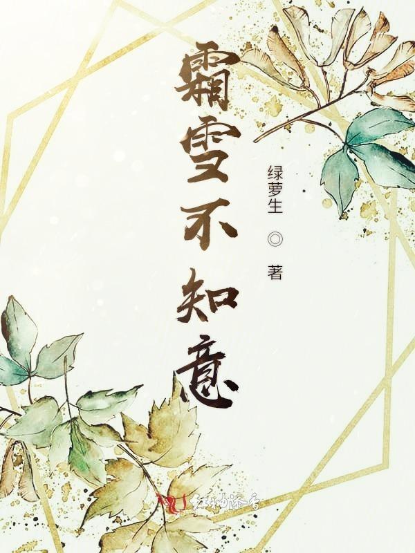 霜雪不知年什么意思