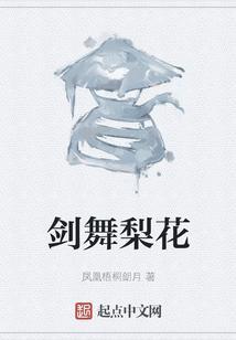 剑舞梨花映战袍