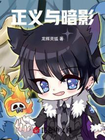 正义暗影电视剧
